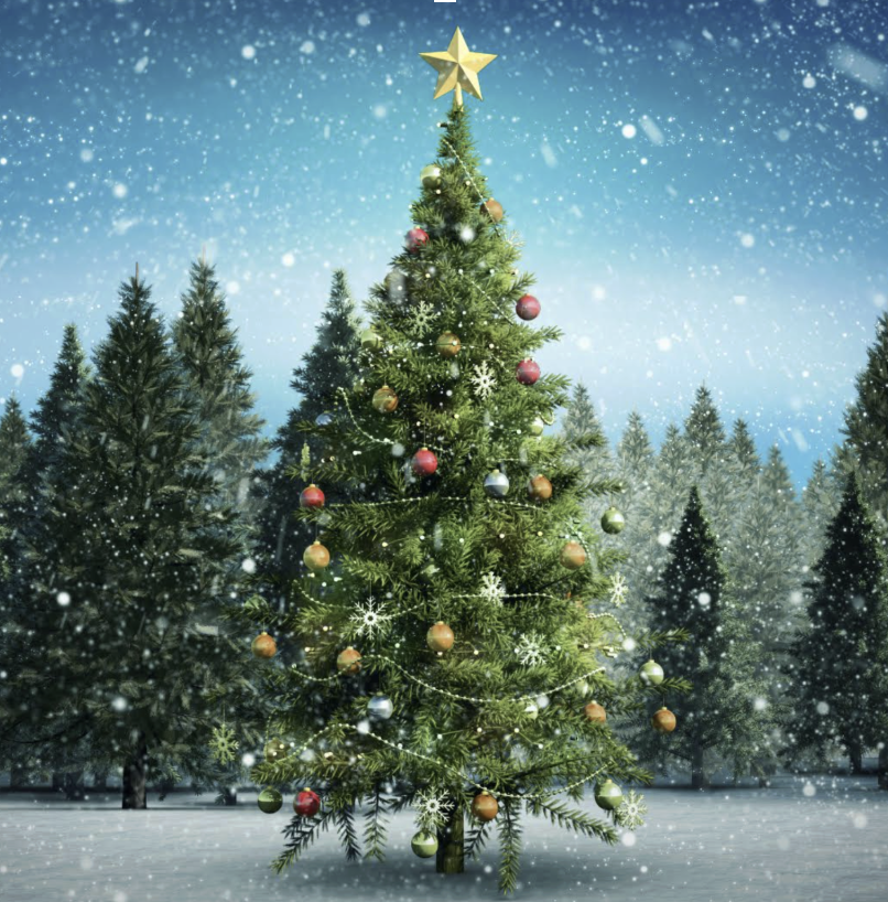 VÁNOČNÍ LES NA HARFĚ - ZAHÁJENÍ SOUTĚŽE